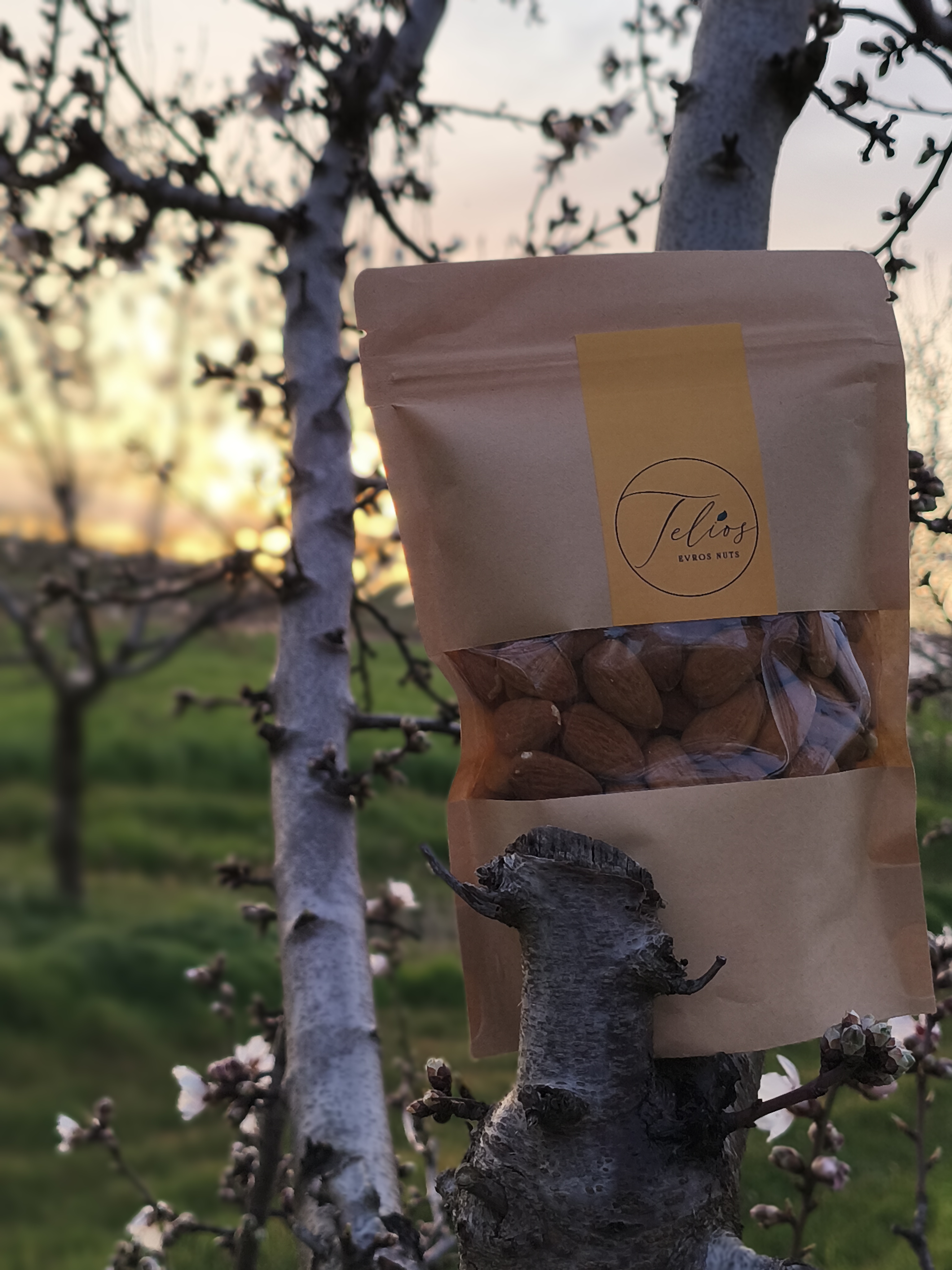 Organic almonds