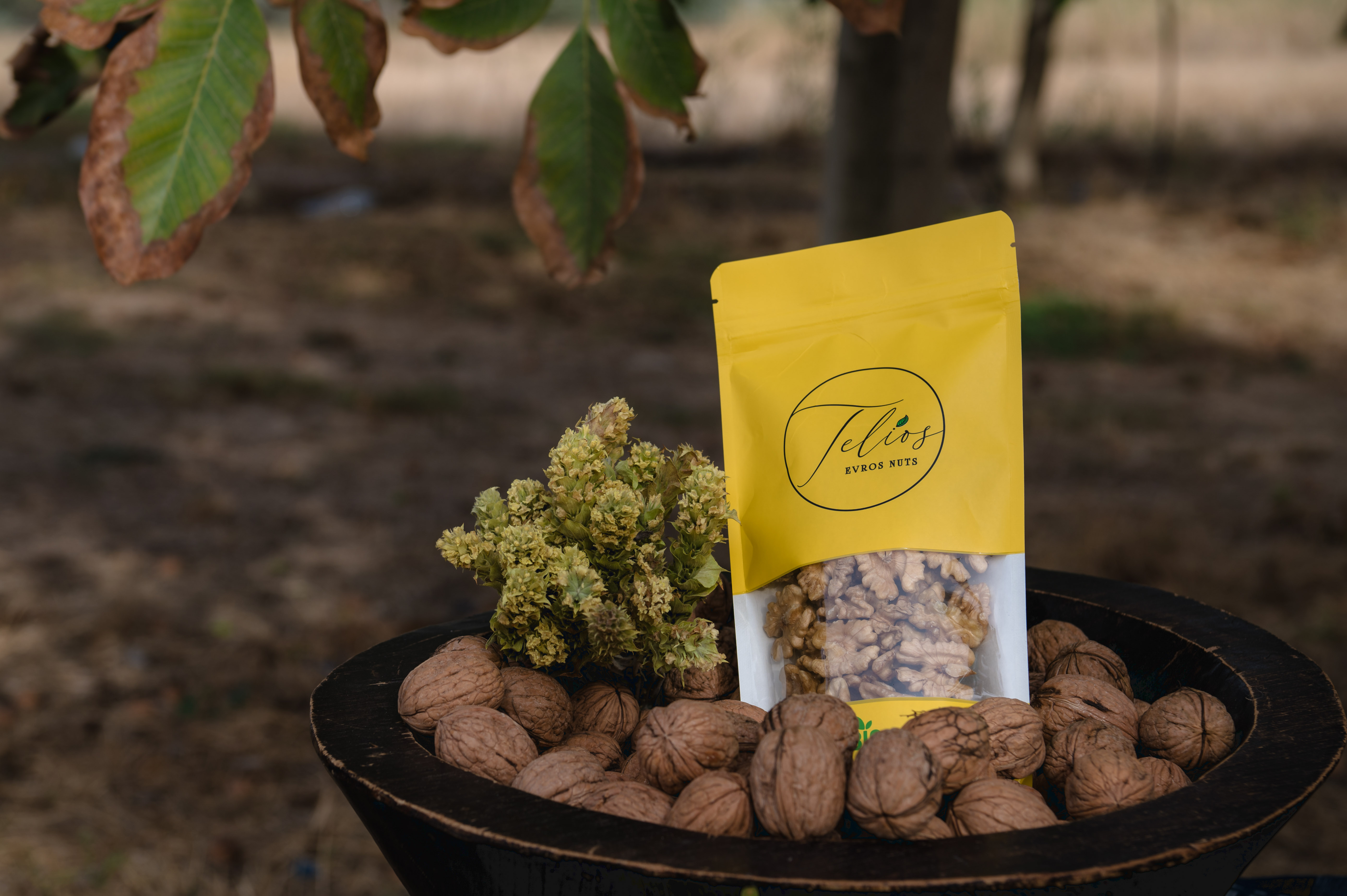 Organic Walnuts (180 gr. Pack)